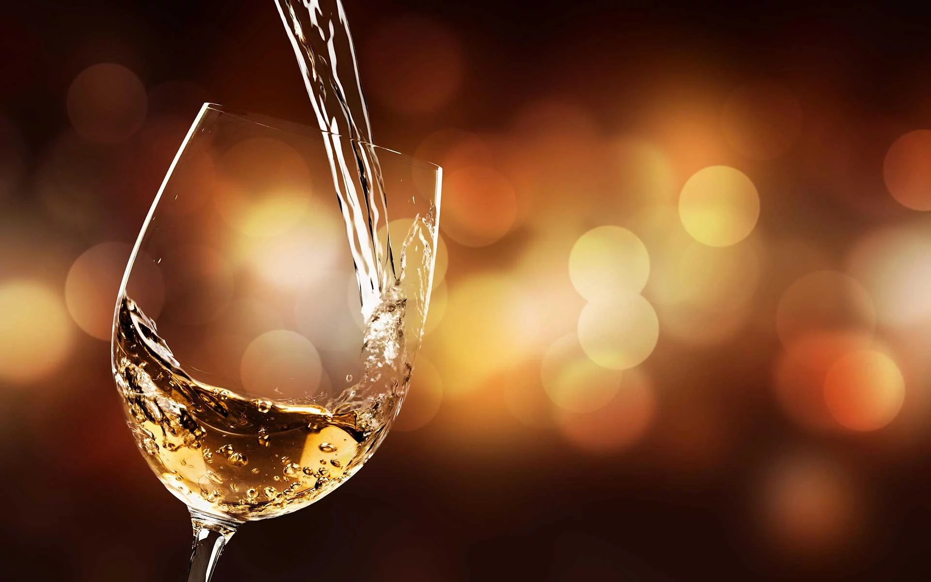 Witte wijn bij Classique 010